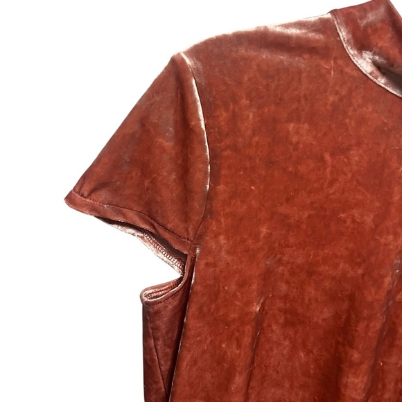 Madewell Crushed Velvet Mockneck Dress - Picture 7 of 10